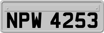 NPW4253