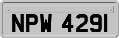 NPW4291