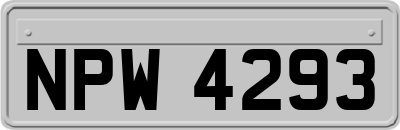 NPW4293