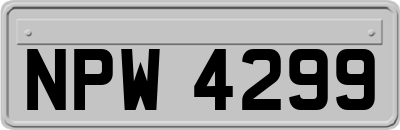NPW4299