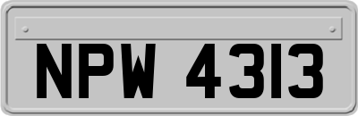 NPW4313