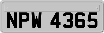 NPW4365