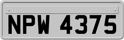 NPW4375