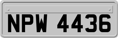 NPW4436