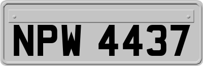 NPW4437