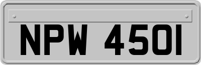 NPW4501