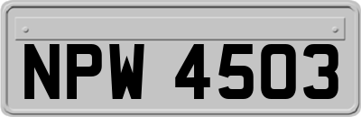 NPW4503