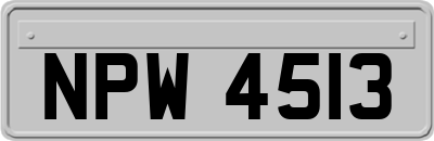 NPW4513