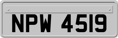 NPW4519