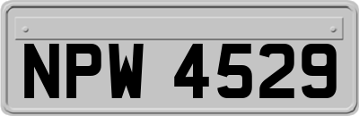 NPW4529