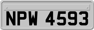 NPW4593