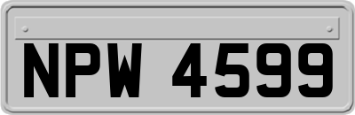 NPW4599