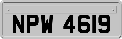 NPW4619