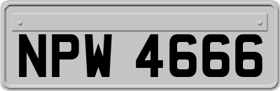 NPW4666