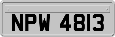 NPW4813