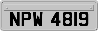 NPW4819