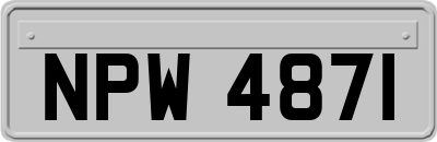 NPW4871