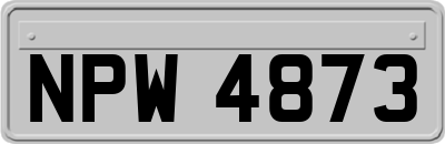 NPW4873