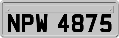 NPW4875