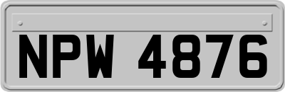 NPW4876