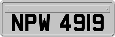 NPW4919