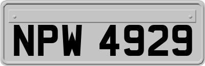 NPW4929
