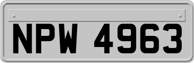 NPW4963