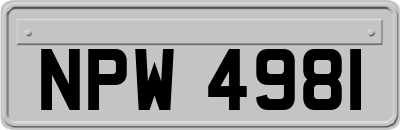 NPW4981