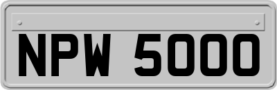NPW5000