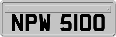 NPW5100