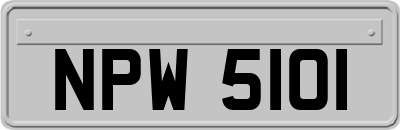 NPW5101