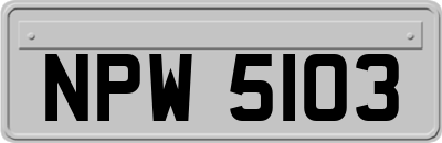 NPW5103