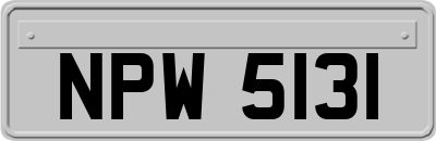NPW5131