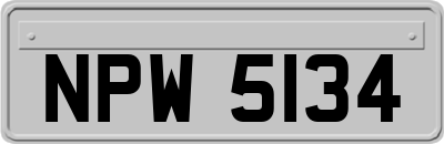 NPW5134