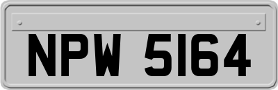 NPW5164
