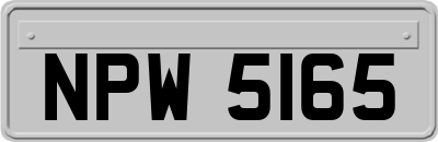 NPW5165