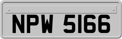 NPW5166