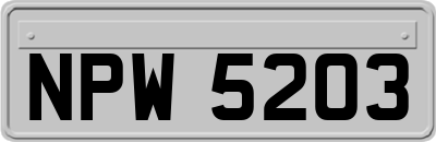 NPW5203