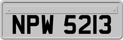 NPW5213