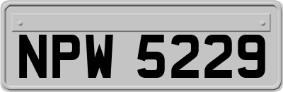 NPW5229