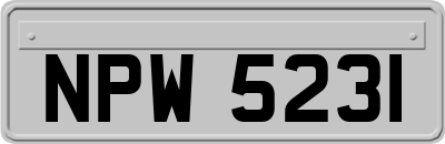 NPW5231