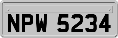 NPW5234