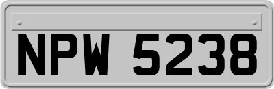 NPW5238