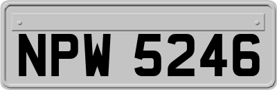 NPW5246