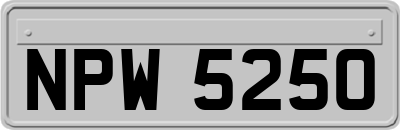 NPW5250