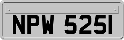 NPW5251