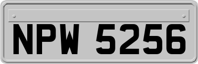 NPW5256