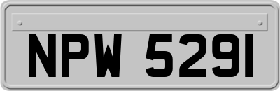 NPW5291