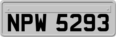 NPW5293