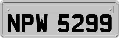 NPW5299